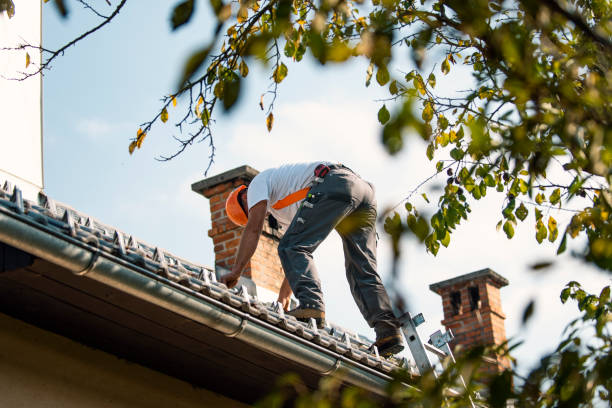 Best Metal Roofing Installation  in Montgomery, OH