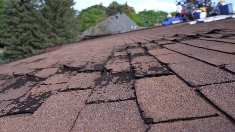 Best Hot Roofs  in Montgomery, OH